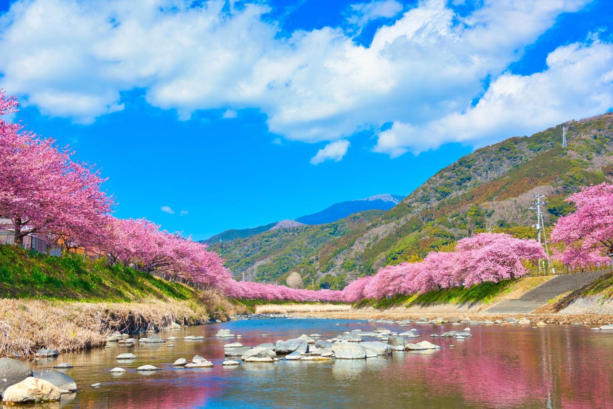 Ramjet Kisami Beach House Shimoda - Enjoy Sakura, Beach And Bbq! Eksteriør bilde